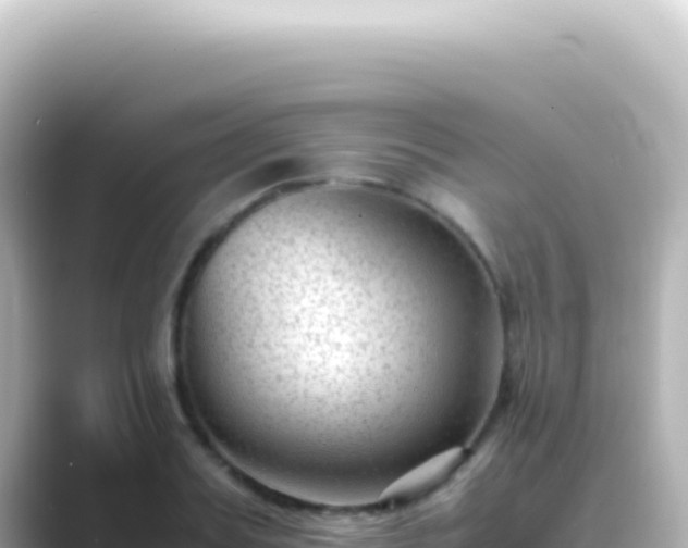 X0000089450987200706221244