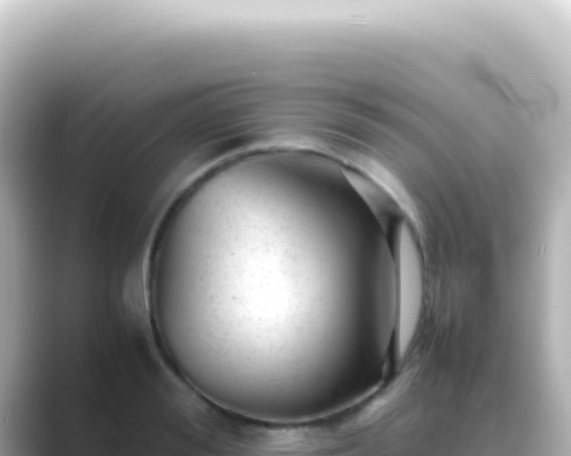 X0000089450988200706221244