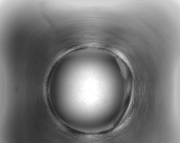 X0000089450989200706221244