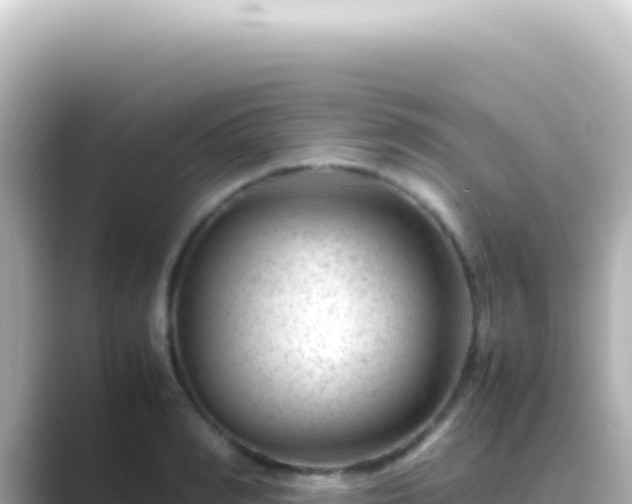 X0000089450990200706221244