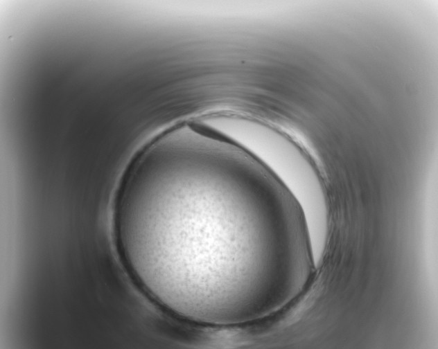 X0000089450991200706221244