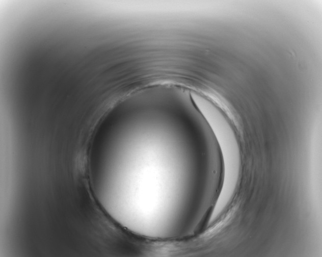 X0000089450993200706221244