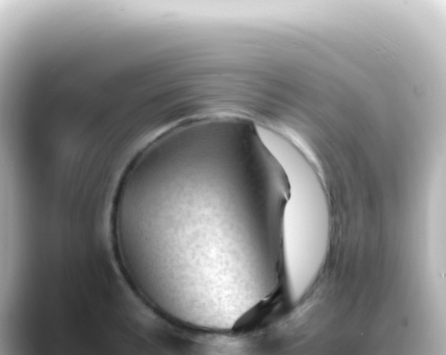 X0000089450995200706221244