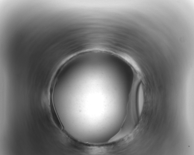 X0000089450996200706221244