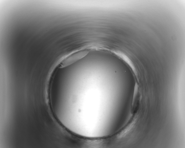 X0000089450997200706221244