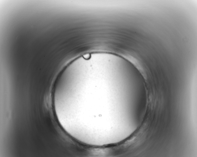 X0000089450998200706221244