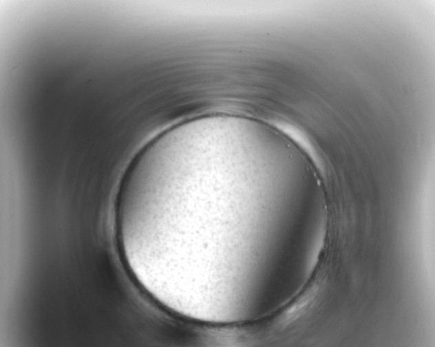 X0000089450999200706221244