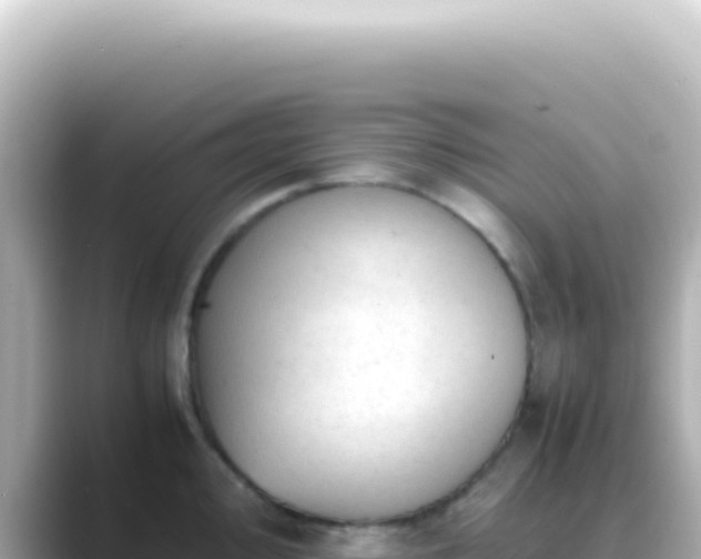 X0000089451000200706221244