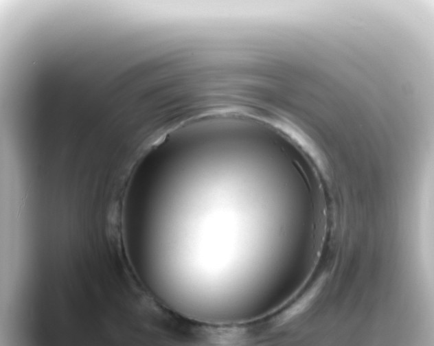 X0000089451001200706221244