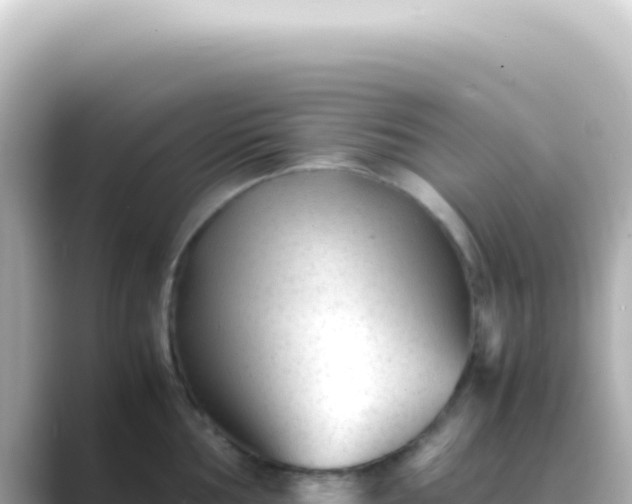 X0000089451002200706221244