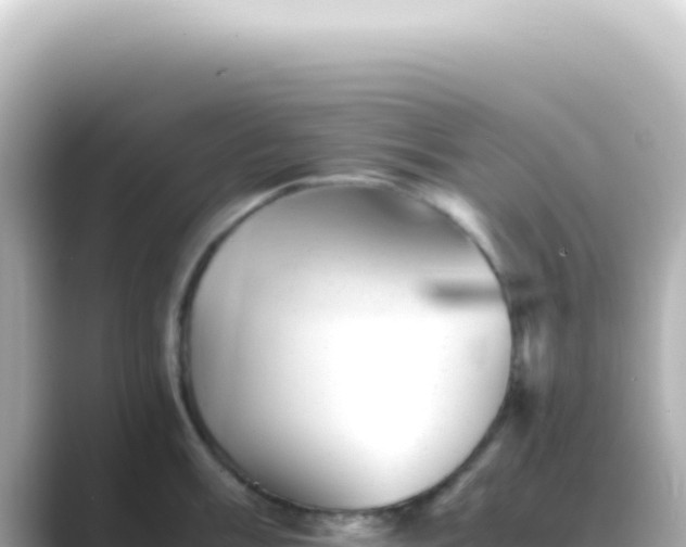 X0000089451003200706221244