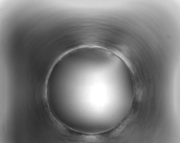 X0000089451004200706221244
