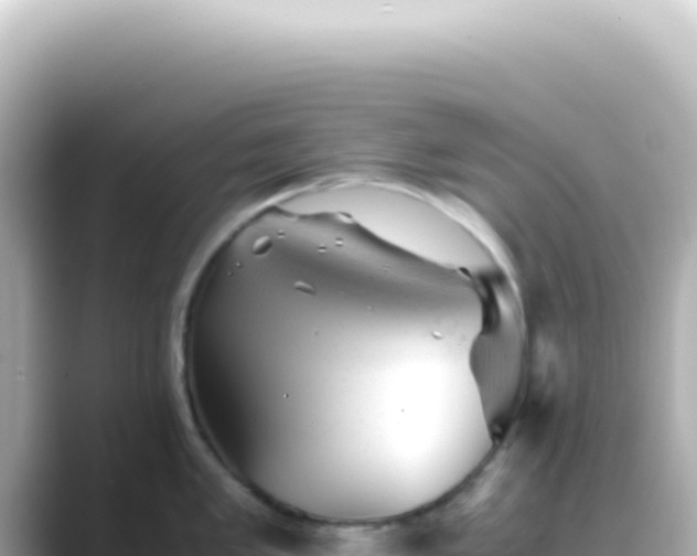 X0000089451005200706221244