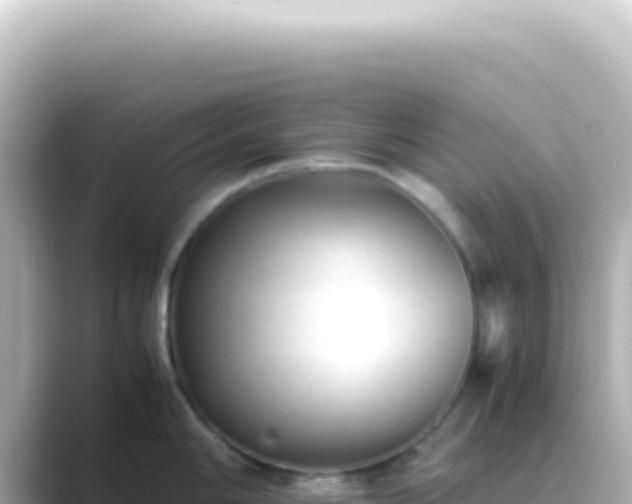 X0000089451006200706221244