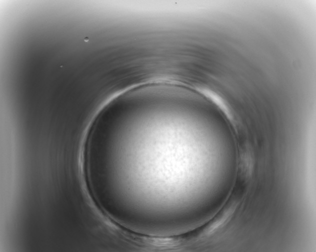 X0000089451007200706221244