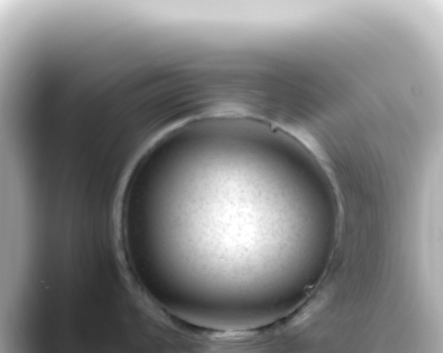 X0000089451008200706221244