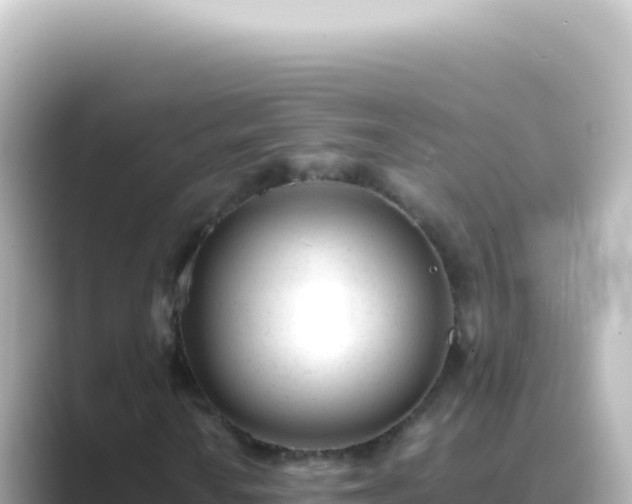 X0000089451010200706221243