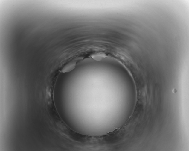 X0000089451013200706221243