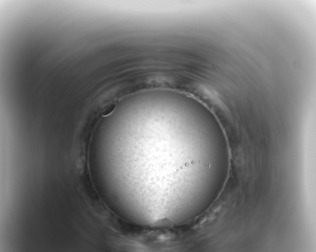 X0000089451015200706221243