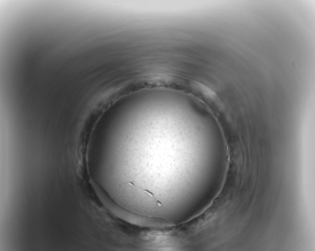X0000089451016200706221243