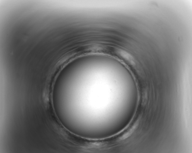 X0000089451017200706221243
