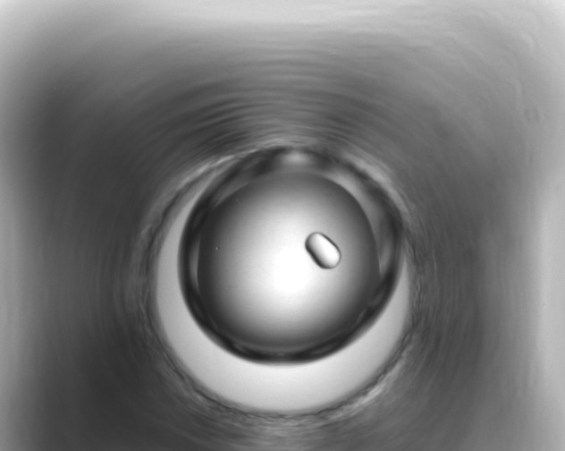 X0000089451018200706221243