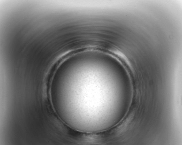 X0000089451019200706221243