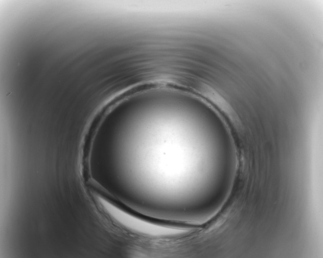 X0000089451020200706221243