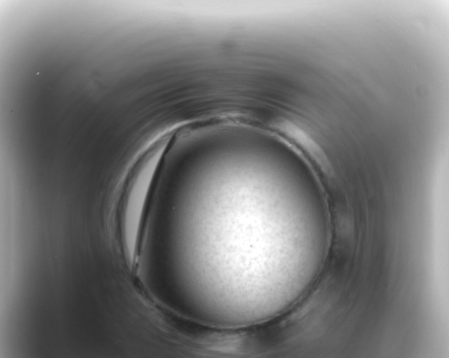X0000089451023200706221243