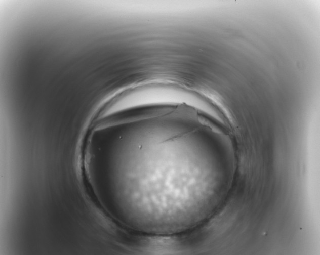 X0000089451024200706221243