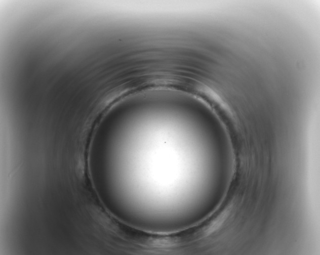 X0000089451025200706221243