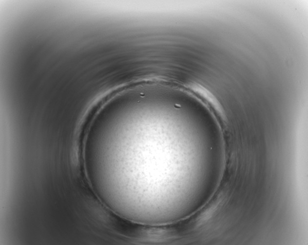X0000089451027200706221243