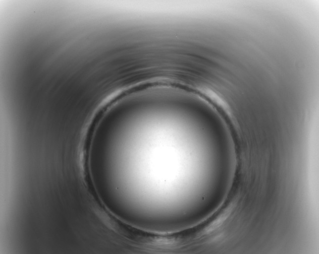 X0000089451029200706221243