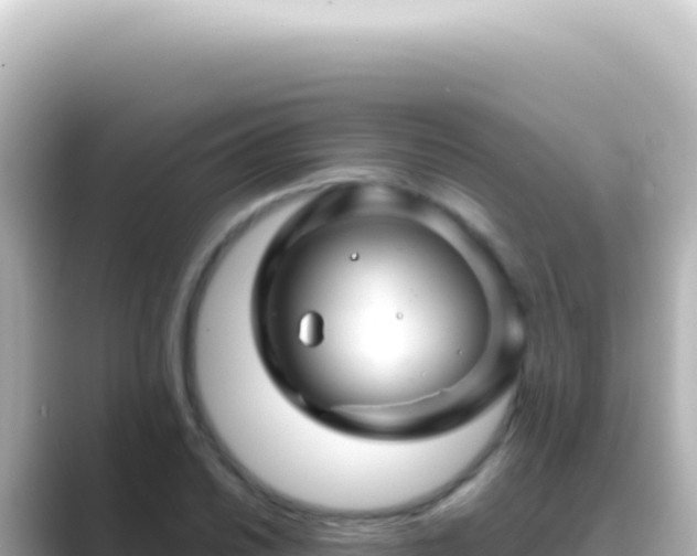 X0000089451030200706221243