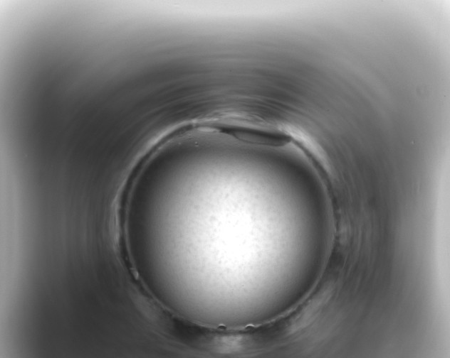 X0000089451031200706221243