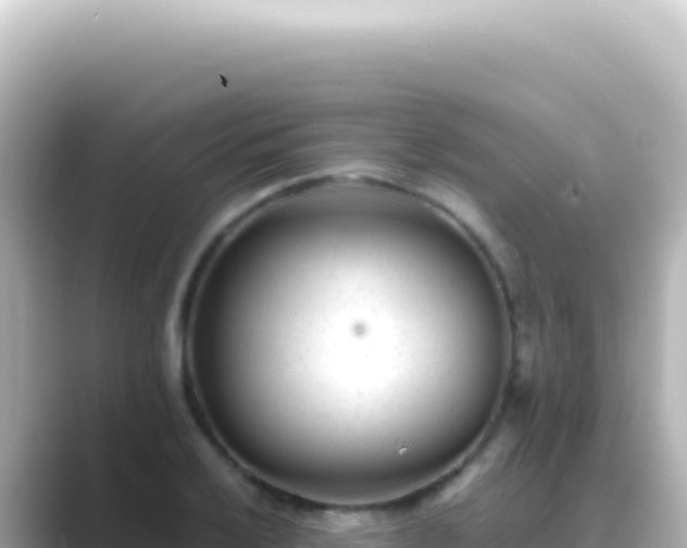 X0000089451032200706221243