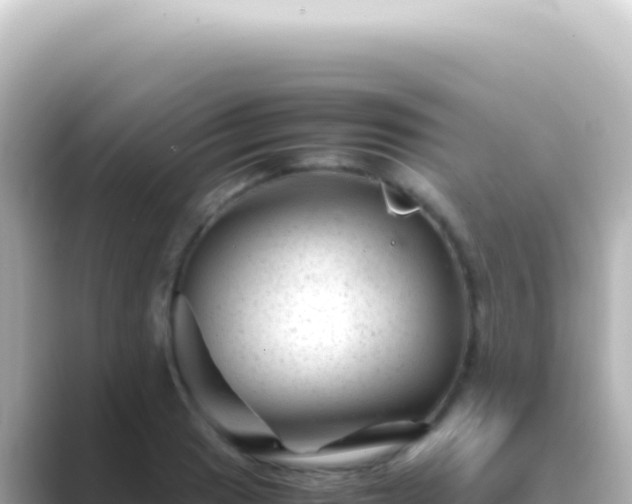 X0000089451033200706221243