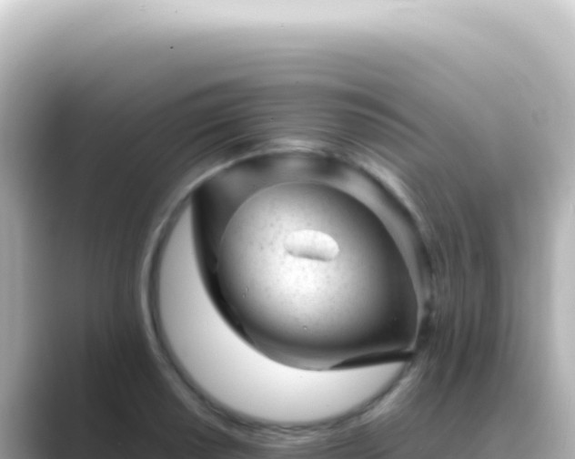 X0000089451034200706221243