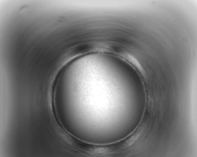 X0000089451035200706221243