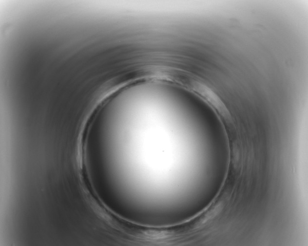 X0000089451036200706221243