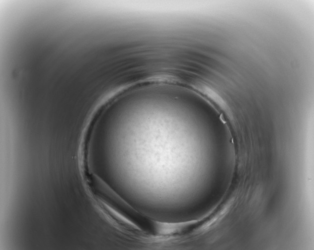 X0000089451037200706221243