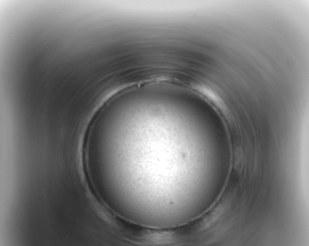 X0000089451039200706221243