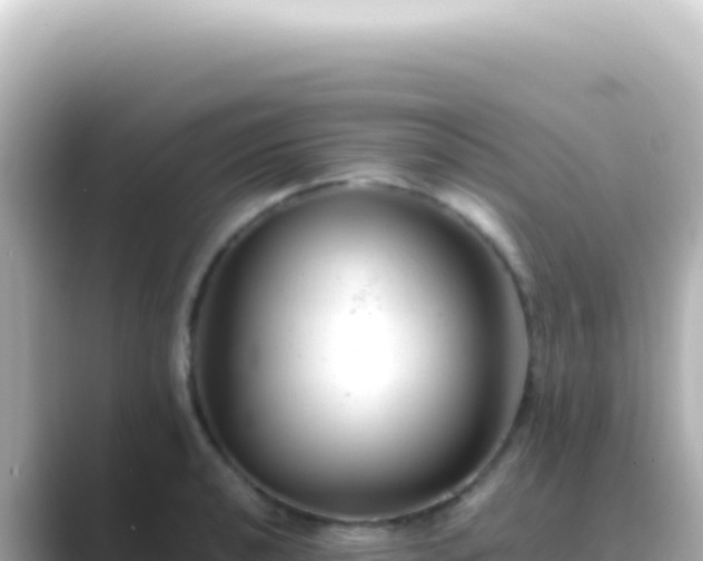 X0000089451040200706221243