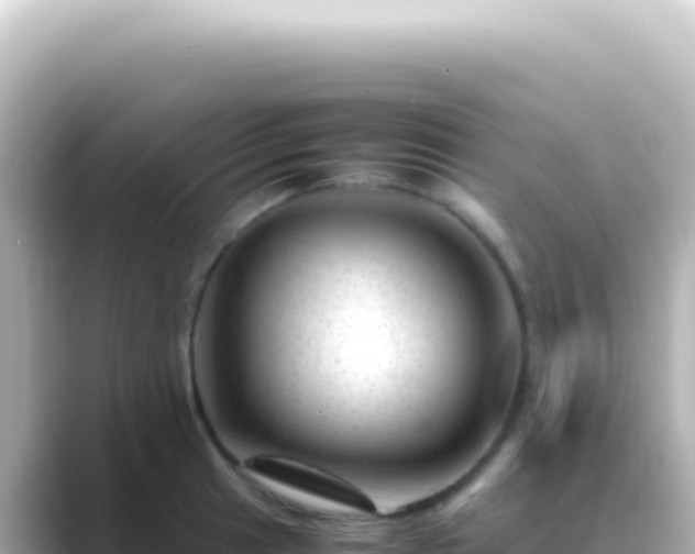 X0000089451041200706221243