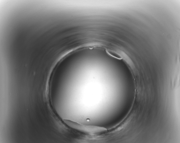 X0000089451044200706221243