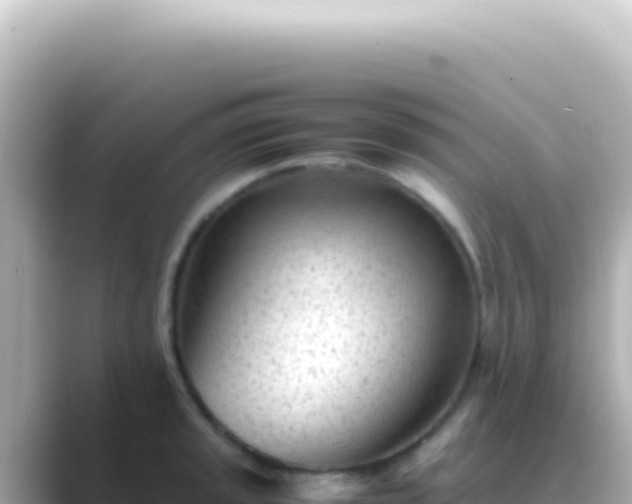 X0000089451045200706221243