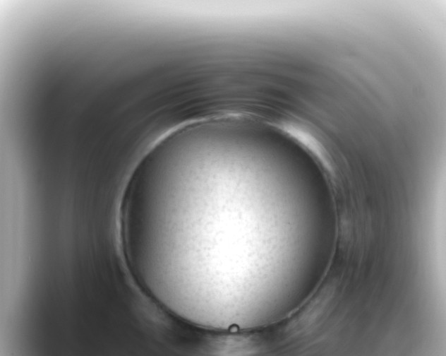 X0000089451047200706221243