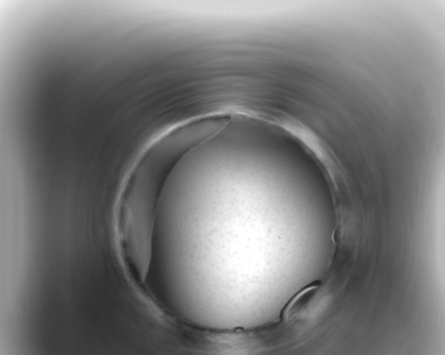 X0000089451048200706221243