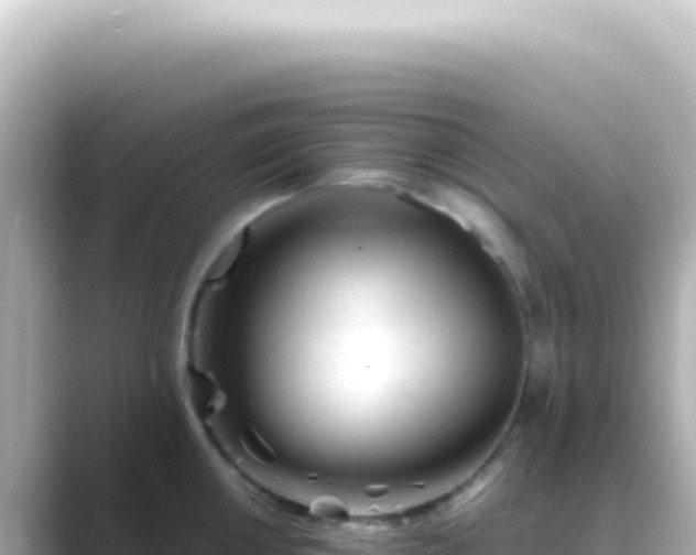 X0000089451050200706221243