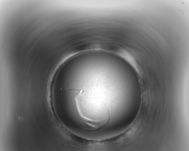 X0000089451051200706221243